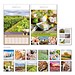 Bildkalender Landlaune